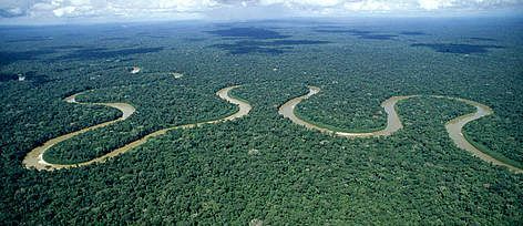 AmazonRainforest