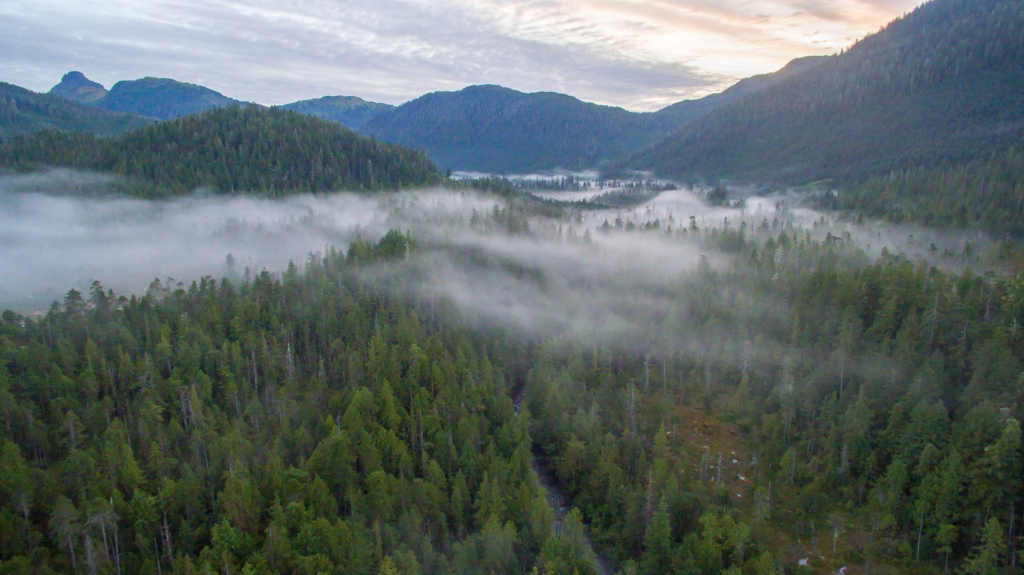 Tongass National Forest