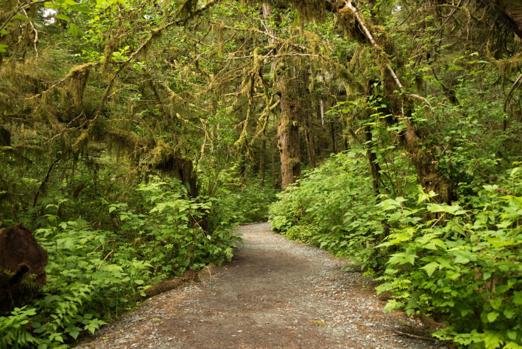 Tongass-National-Forest-Alaska